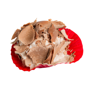 Bola de Nieve
